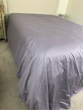 Charisma Lavender Solid King Flat Sheet  - Silky Finish